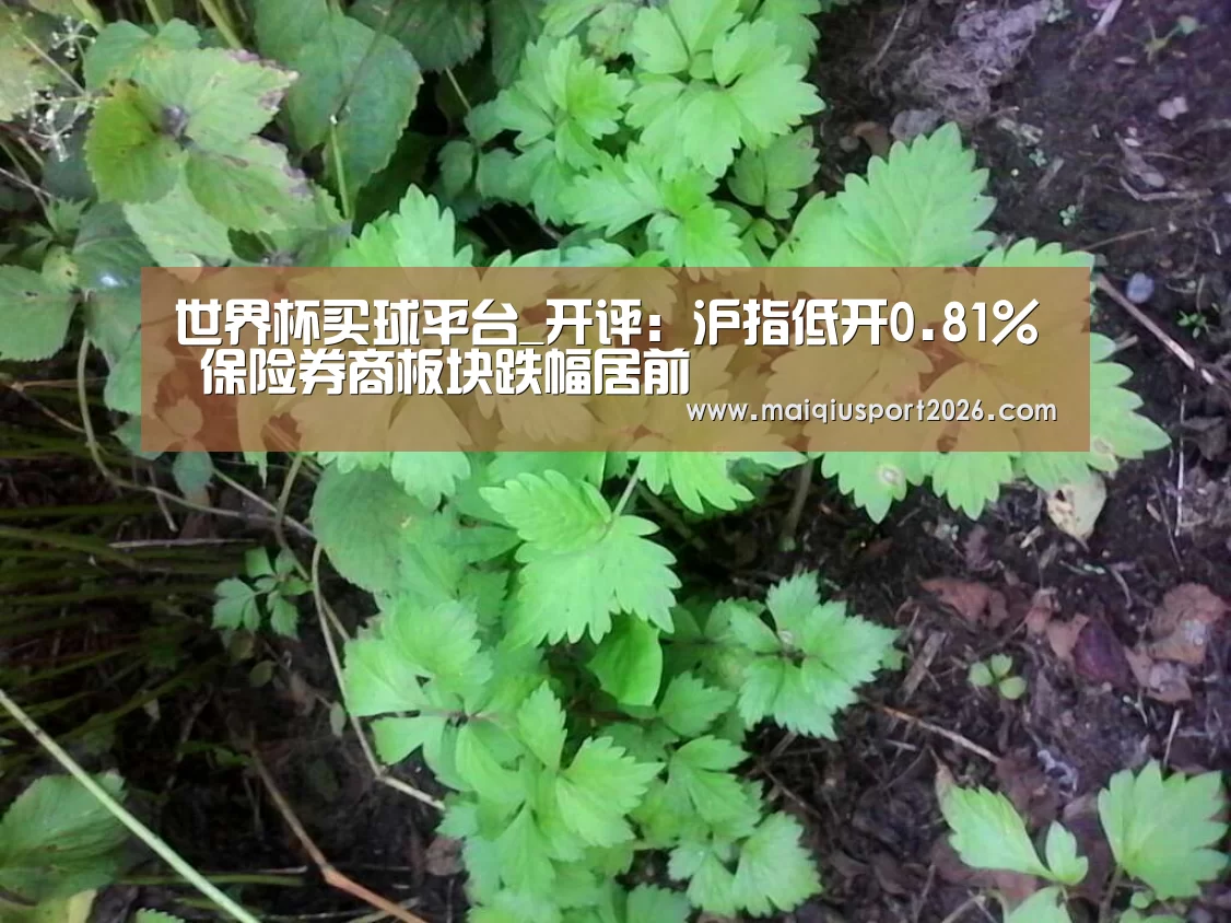 世界杯买球平台_开评:沪指低开0.81% 保险券商板块跌幅居前(图2) 世界杯买球网站