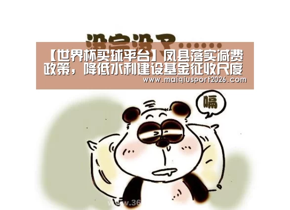 【世界杯买球平台】凤县落实减费政策,降低水利建设基金征收尺度(图3) 世界杯买球平台