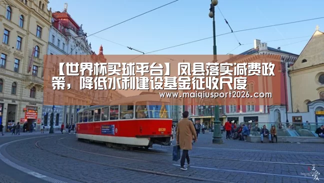 【世界杯买球平台】凤县落实减费政策,降低水利建设基金征收尺度(图4) 世界杯买球官网