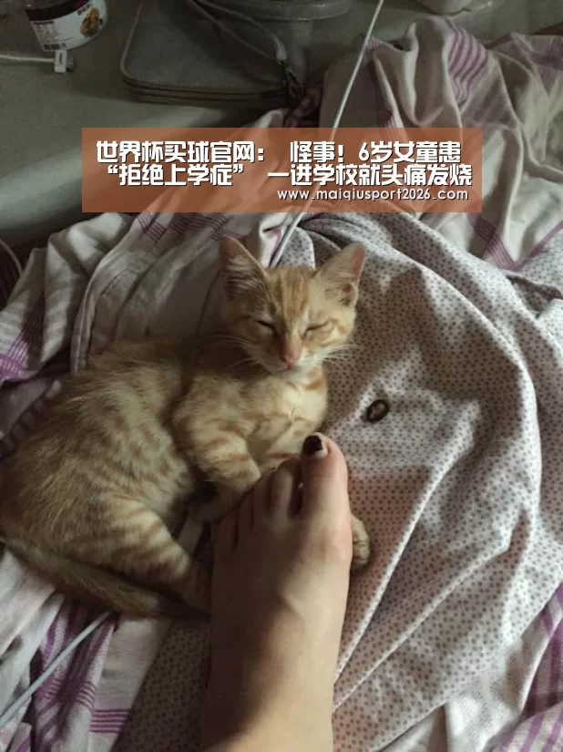 世界杯买球官网:
怪事!6岁女童患“拒绝上学症” 一进学校就头痛发烧(图1) 世界杯买球平台