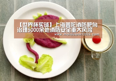 【世界杯买球】上海普陀消防靶向治理5000余处消防安全重大风险(图3) 世界杯买球平台